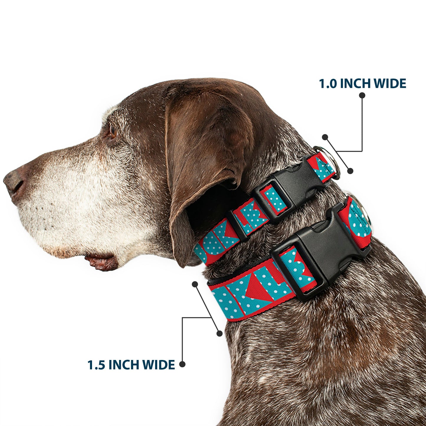 Plastic Clip Collar - BUCKLE-DOWN Shapes Red/Dot Turquoise/White