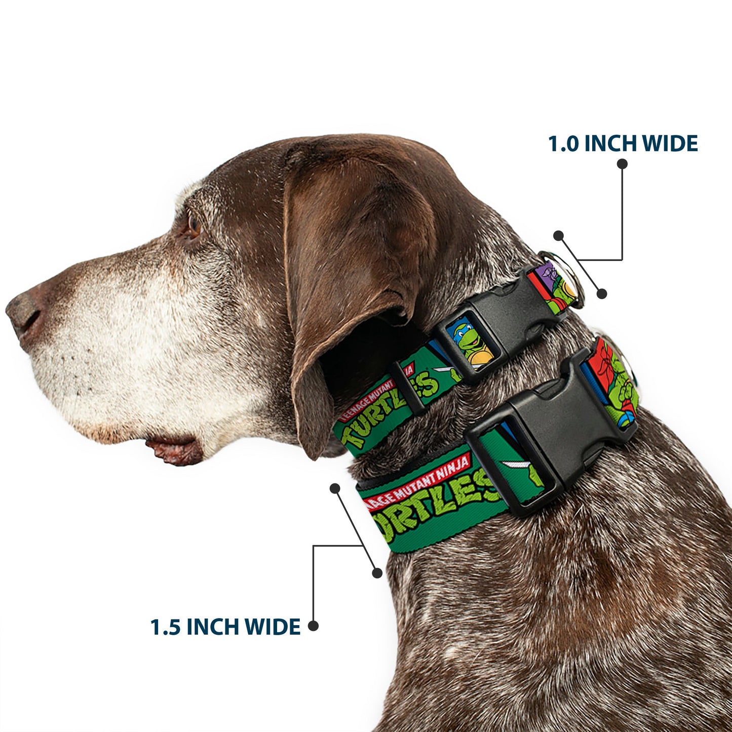 Plastic Clip Collar - Classic TEENAGE MUTANT NINJA TURTLES Group Pose3/TMNT Logo Green/Multi Color