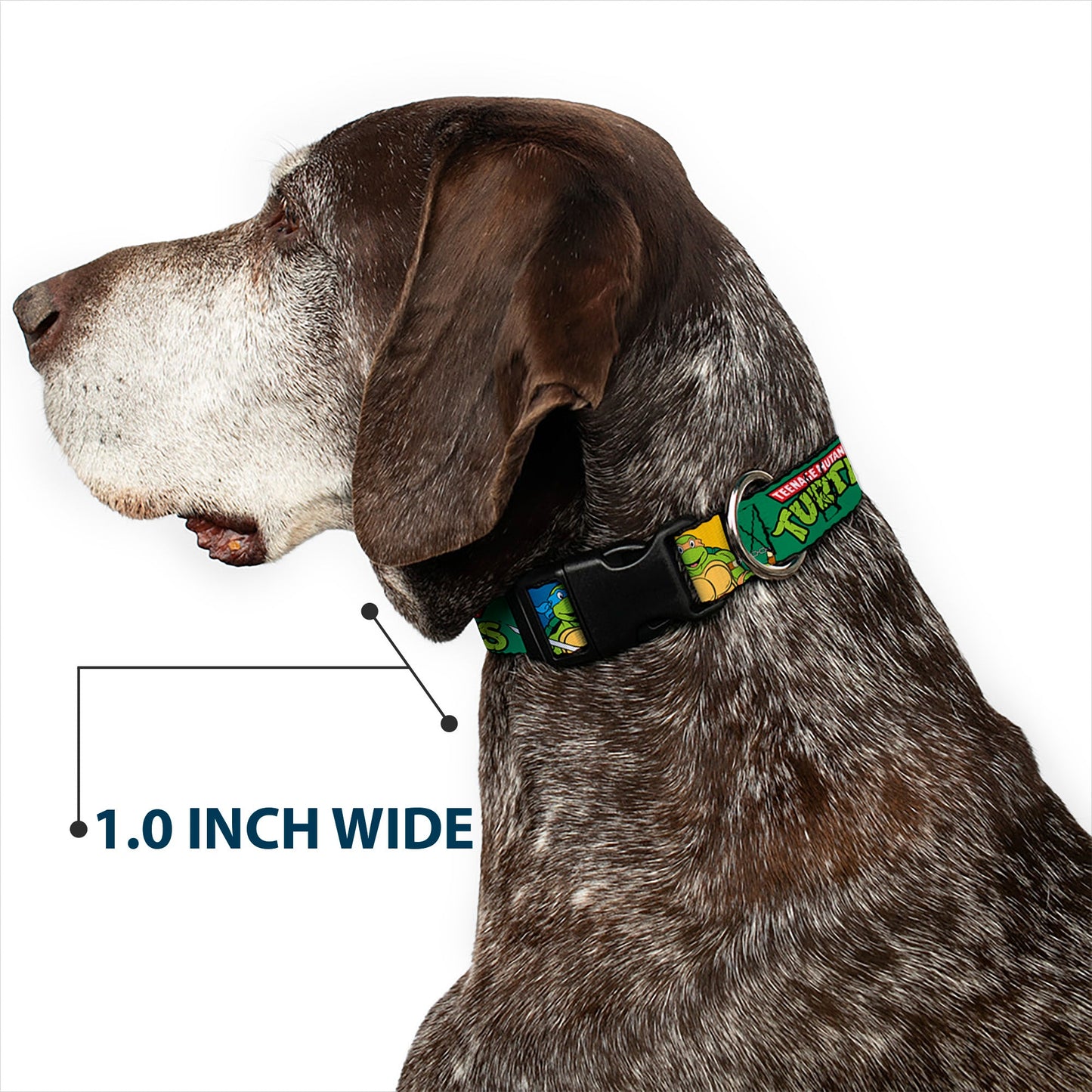 Plastic Clip Collar - Classic TEENAGE MUTANT NINJA TURTLES Group Pose3/TMNT Logo Green/Multi Color