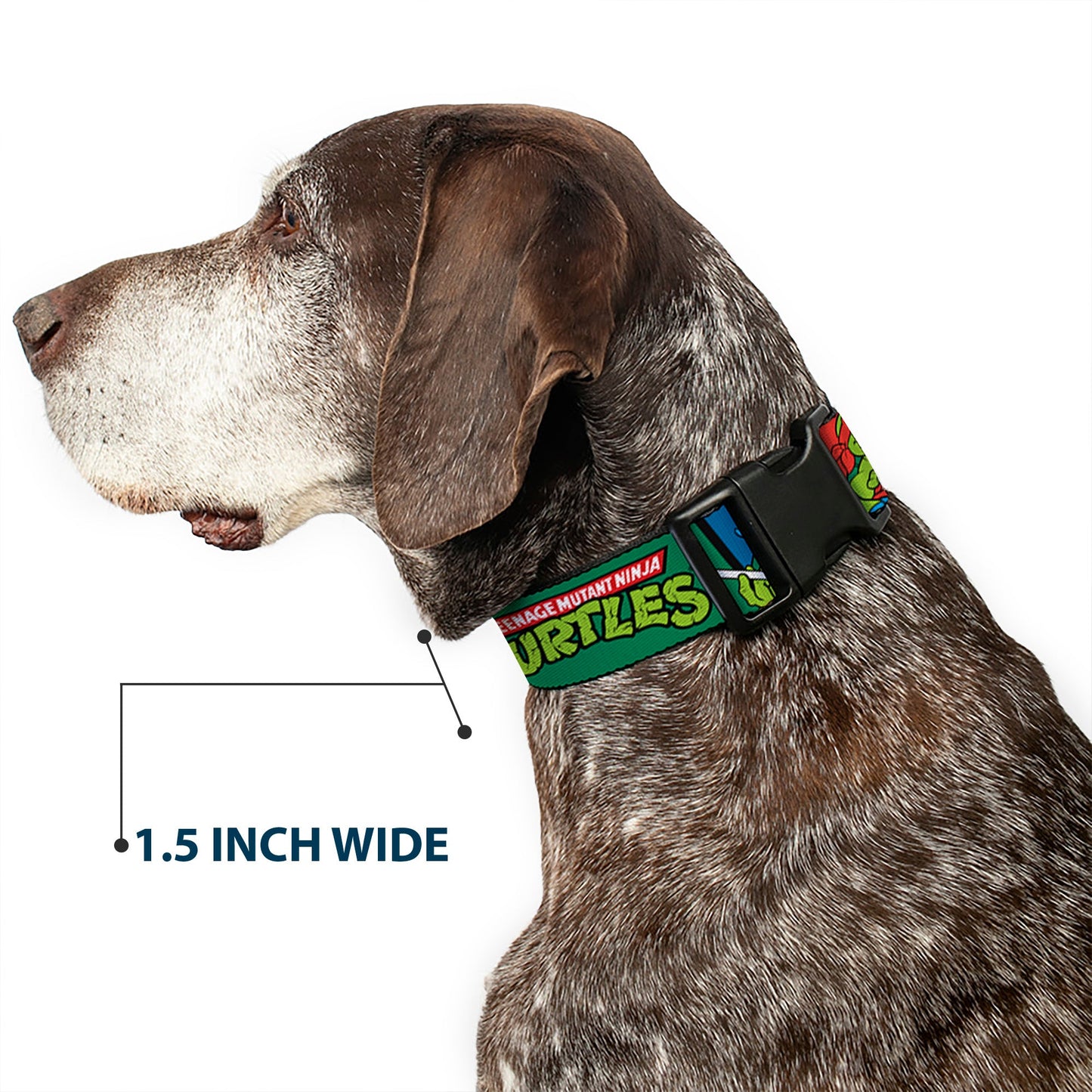 Plastic Clip Collar - Classic TEENAGE MUTANT NINJA TURTLES Group Pose3/TMNT Logo Green/Multi Color