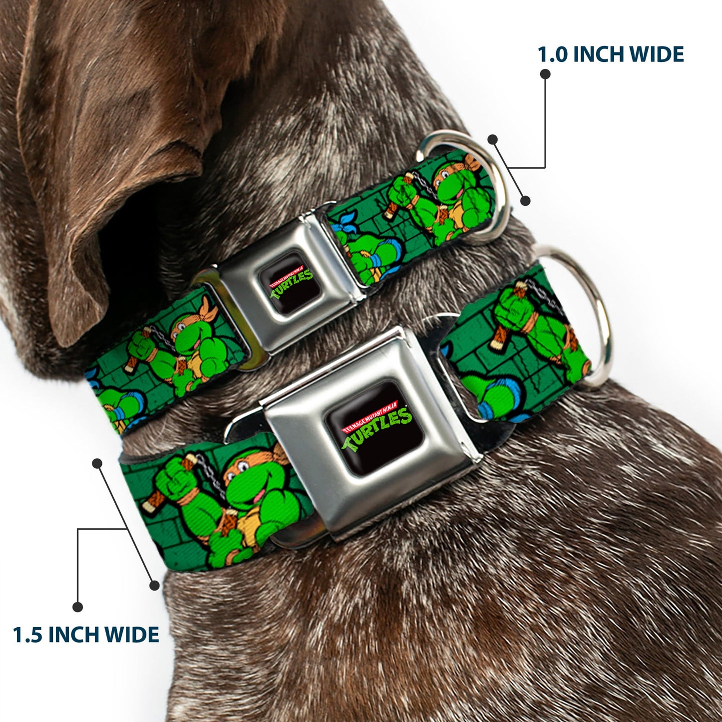 Classic TEENAGE MUTANT NINJA TURTLES Logo Seatbelt Buckle Collar - Classic Teenage Mutant Ninja Turtles Group Pose2/TMNT Green Brick Wall