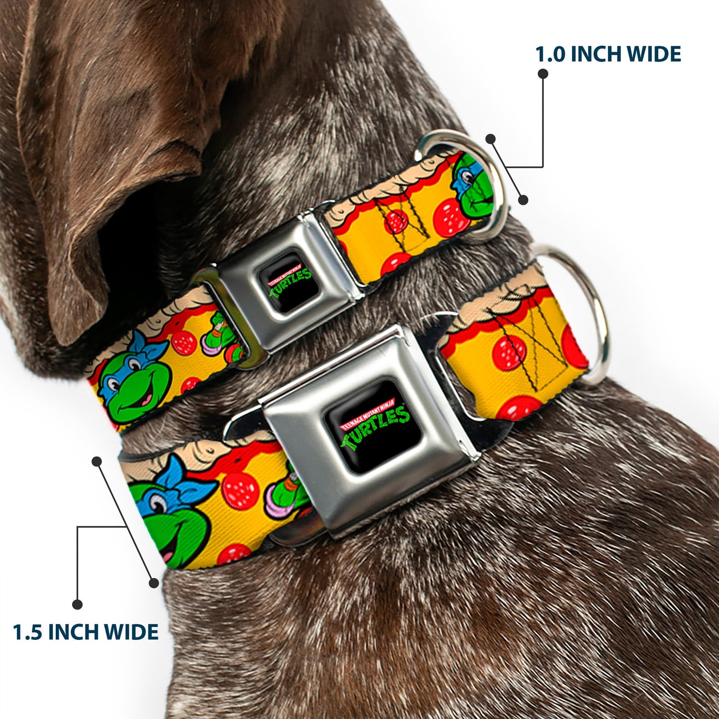 Classic TMNT Logo Seatbelt Buckle Collar - Classic Teenage Mutant Ninja Turtles 4-Turtle Faces Pepperoni Pizza/Turtles Pose16