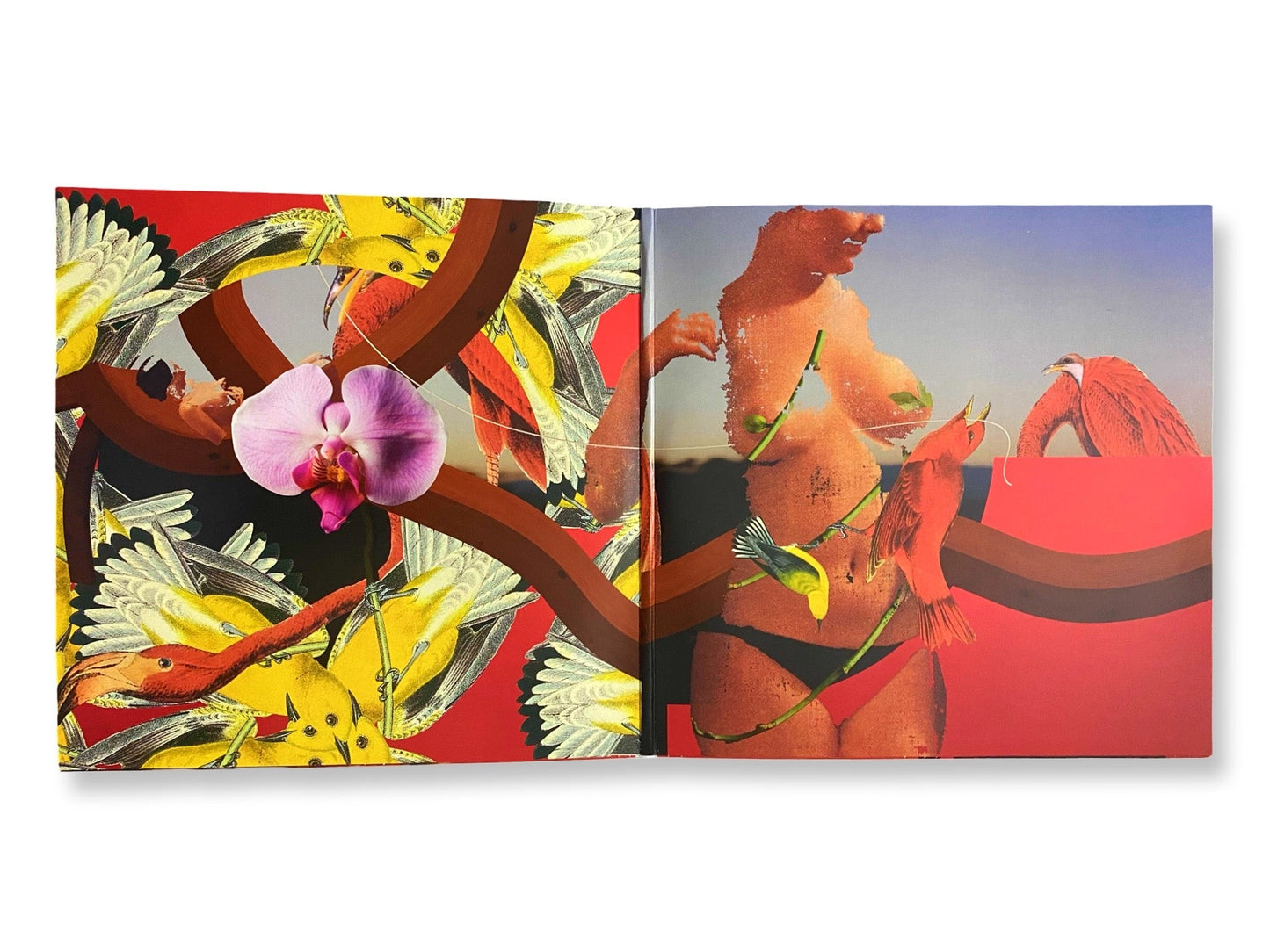 Mac Miller - Watching Movies With The Sound Off (Limited Edition Brown Colored Vinyl) [New Without Shrink]