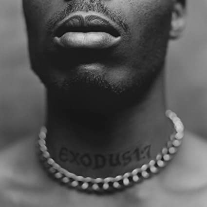 DMX Exodus [Explicit Content] [Vinyl]