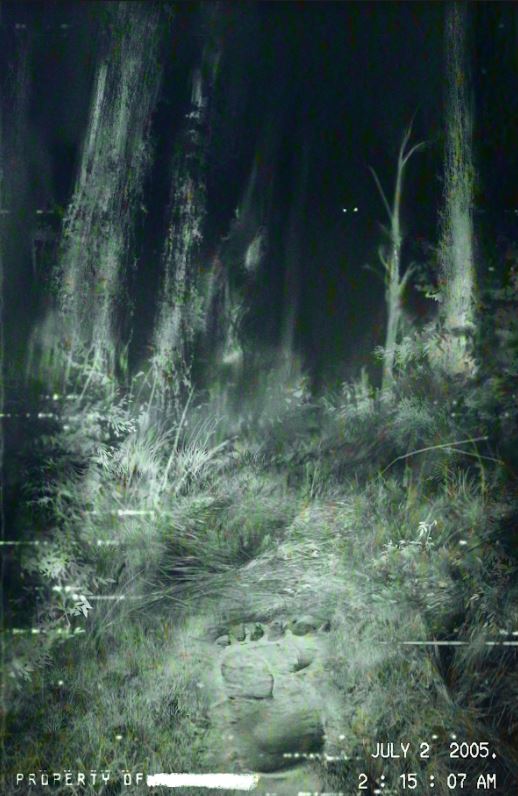 DEPARTMENT OF TRUTH #11 SSCO DAVID ROMERO VARIANT 2021