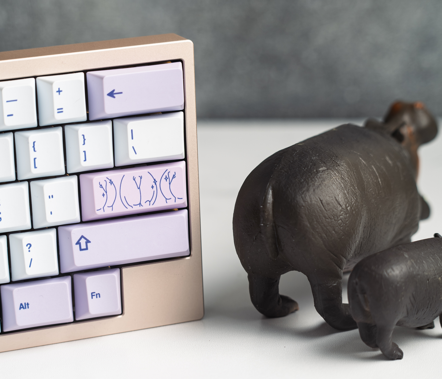 Hippo V2 PBT Keycaps