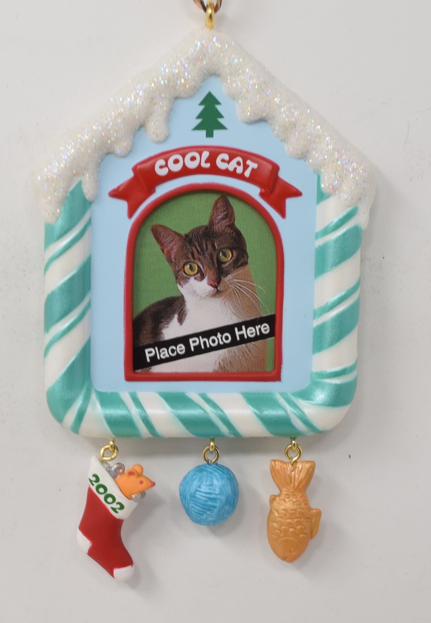 Hallmark Keepsake Ornament Special Cat Photo Frame Christmas Tree 2002 NIB