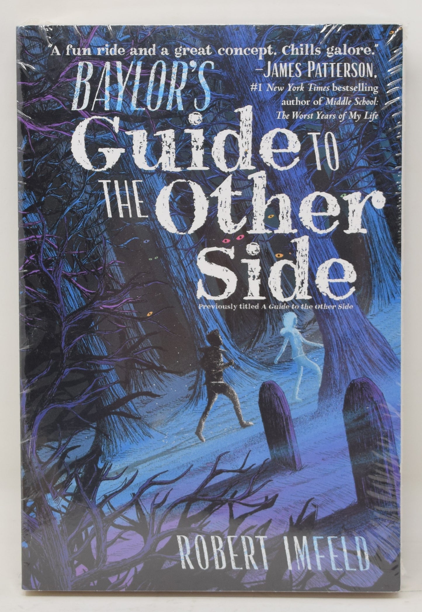 Baylor's Guide to the Other Side Robert Imfeld New