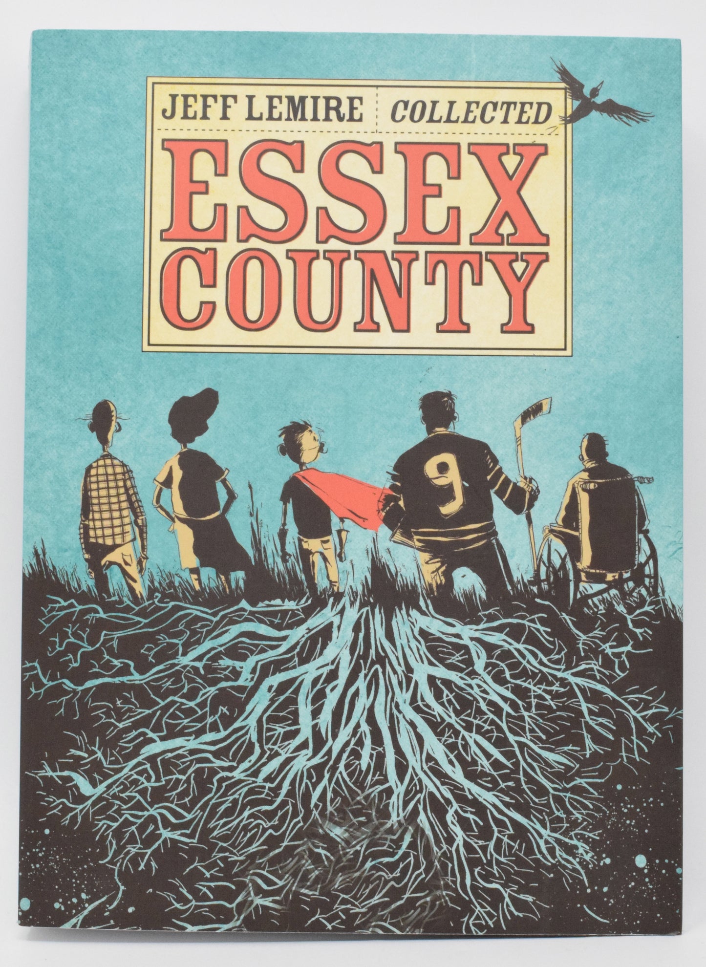 Complete Essex County TP IDW Top Shelf