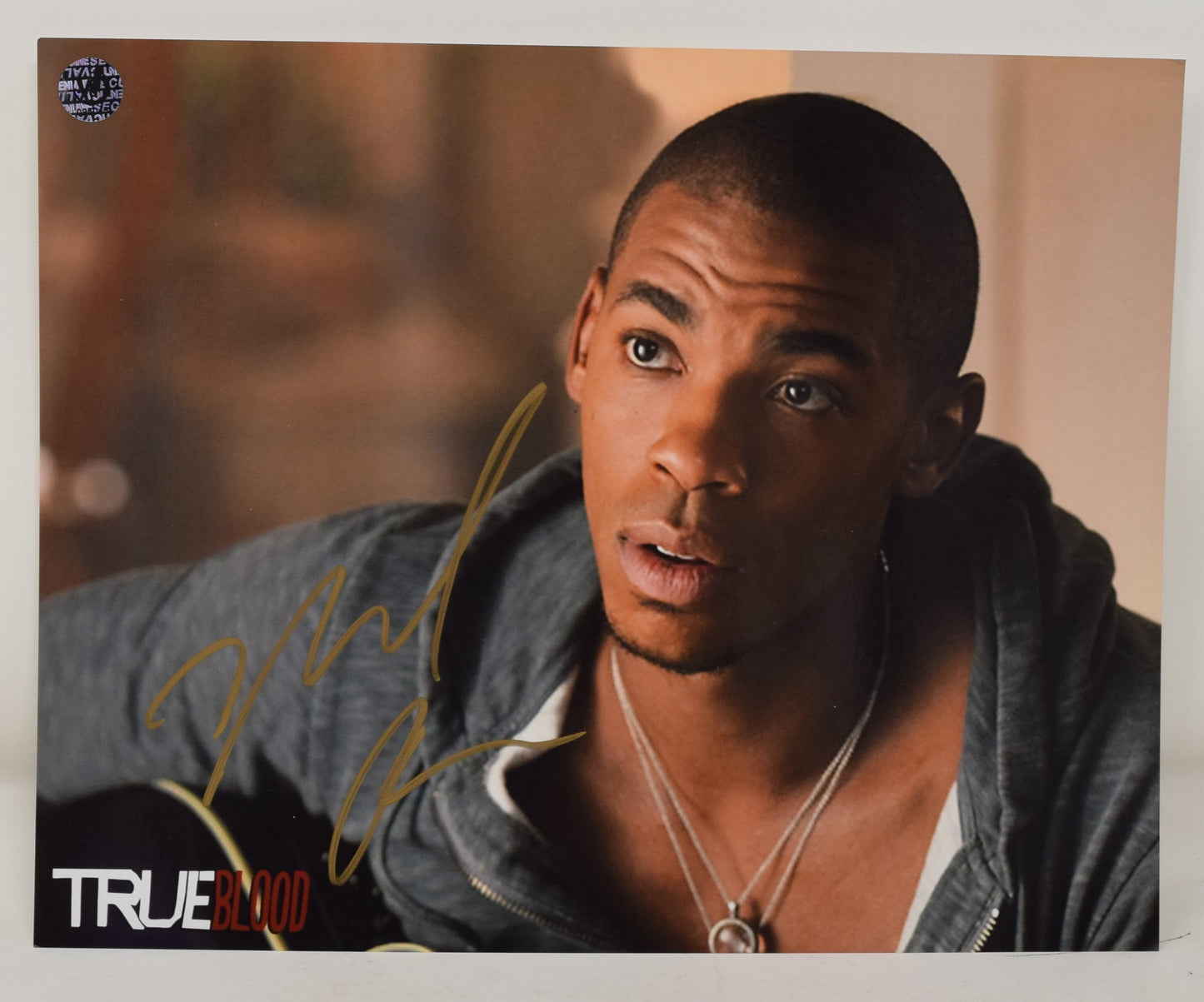 Mehcad Brooks True Blood Signed Autograph 8 x 10 Photo COA