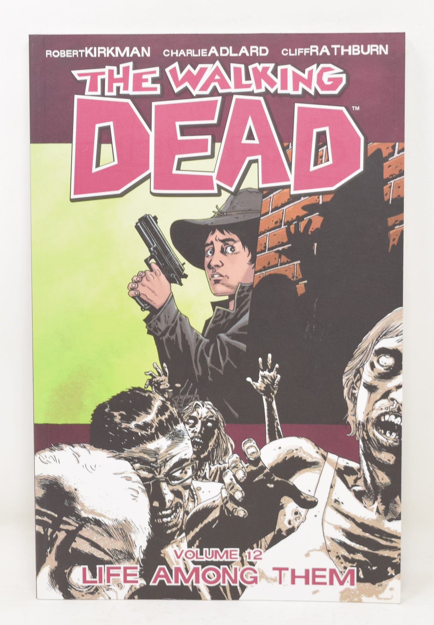 The Walking Dead Vol 12 Life Among Them 2nd Print Image 2010 GN NM New