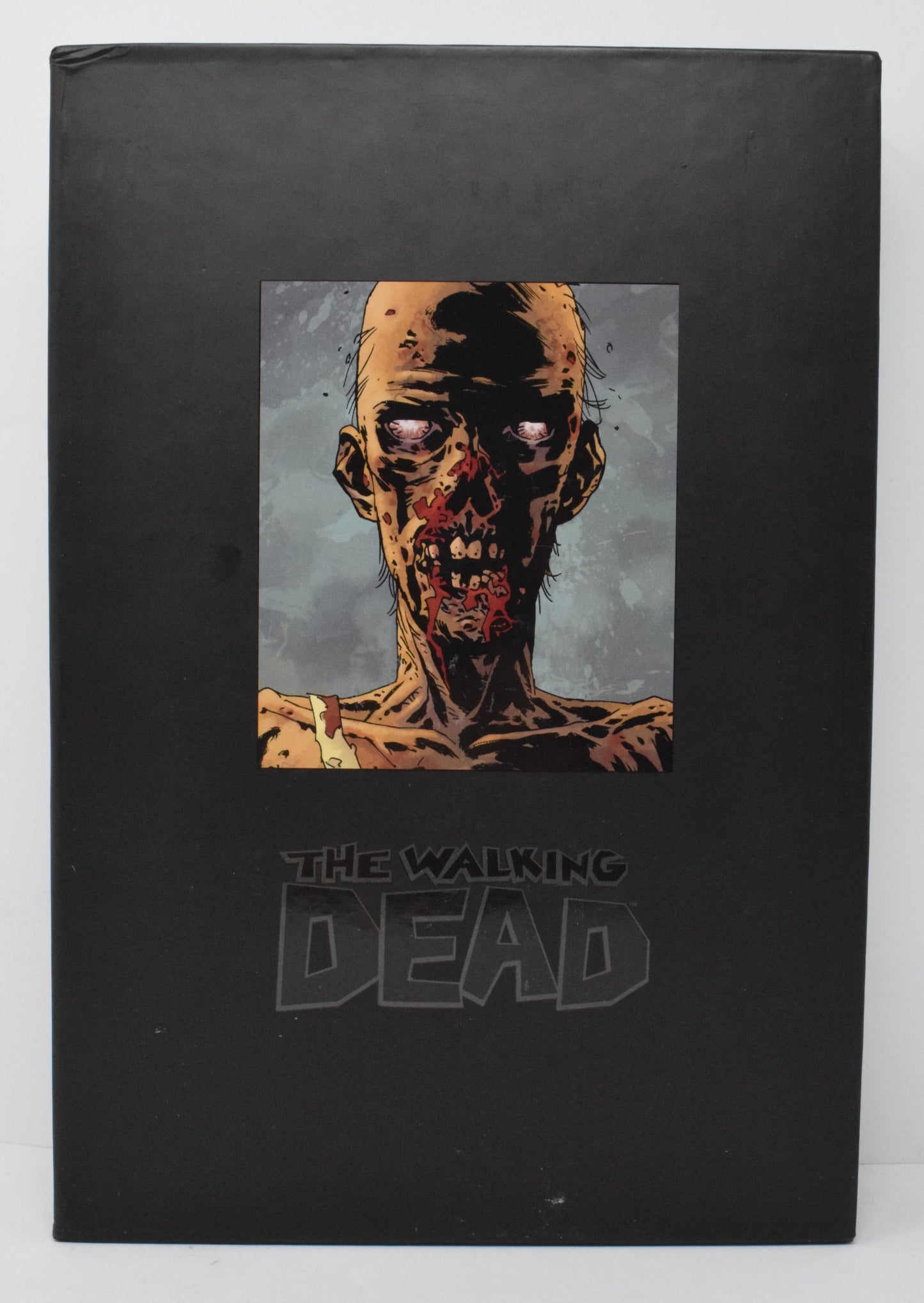 Walking Dead 8 Omnibus HC Slipcase Image 2019 NM 1st 169 - 193