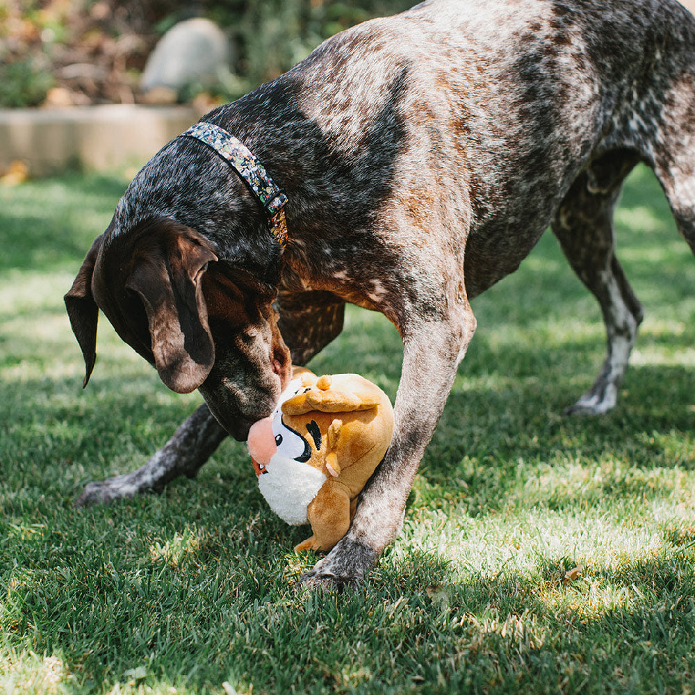 Dog Toy Squeaker Plush - Looney Tunes Taz Full Body