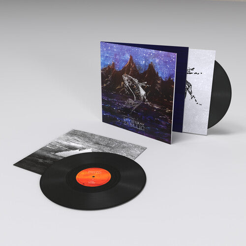 David Gray Skellig (Gatefold LP Jacket) (2 Lp's) [Vinyl]