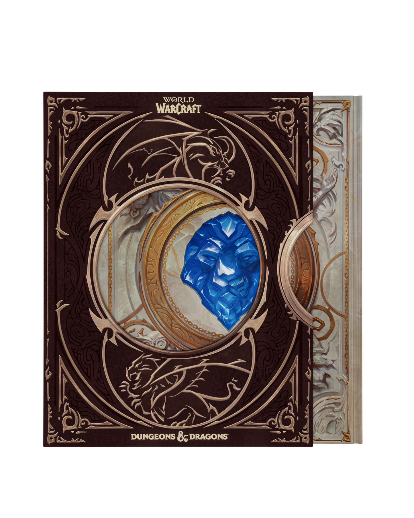 D&D: World of Warcraft Gameplay Expansion (Collector's Edition)