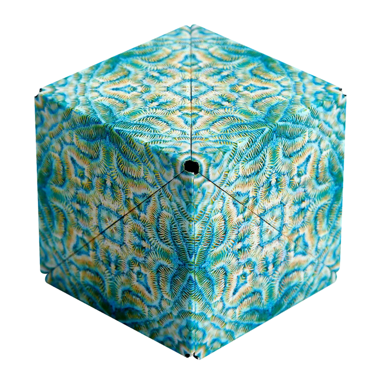 Shashibo: Explorer Series - Undersea