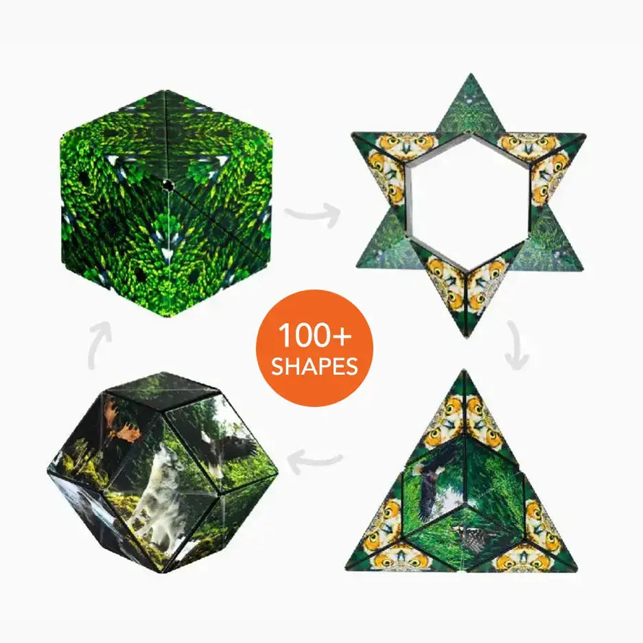 Shashibo: Forest - Golden Apple Comics