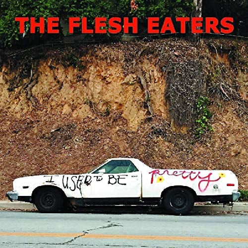I Used To Be Pretty (Vinyl)