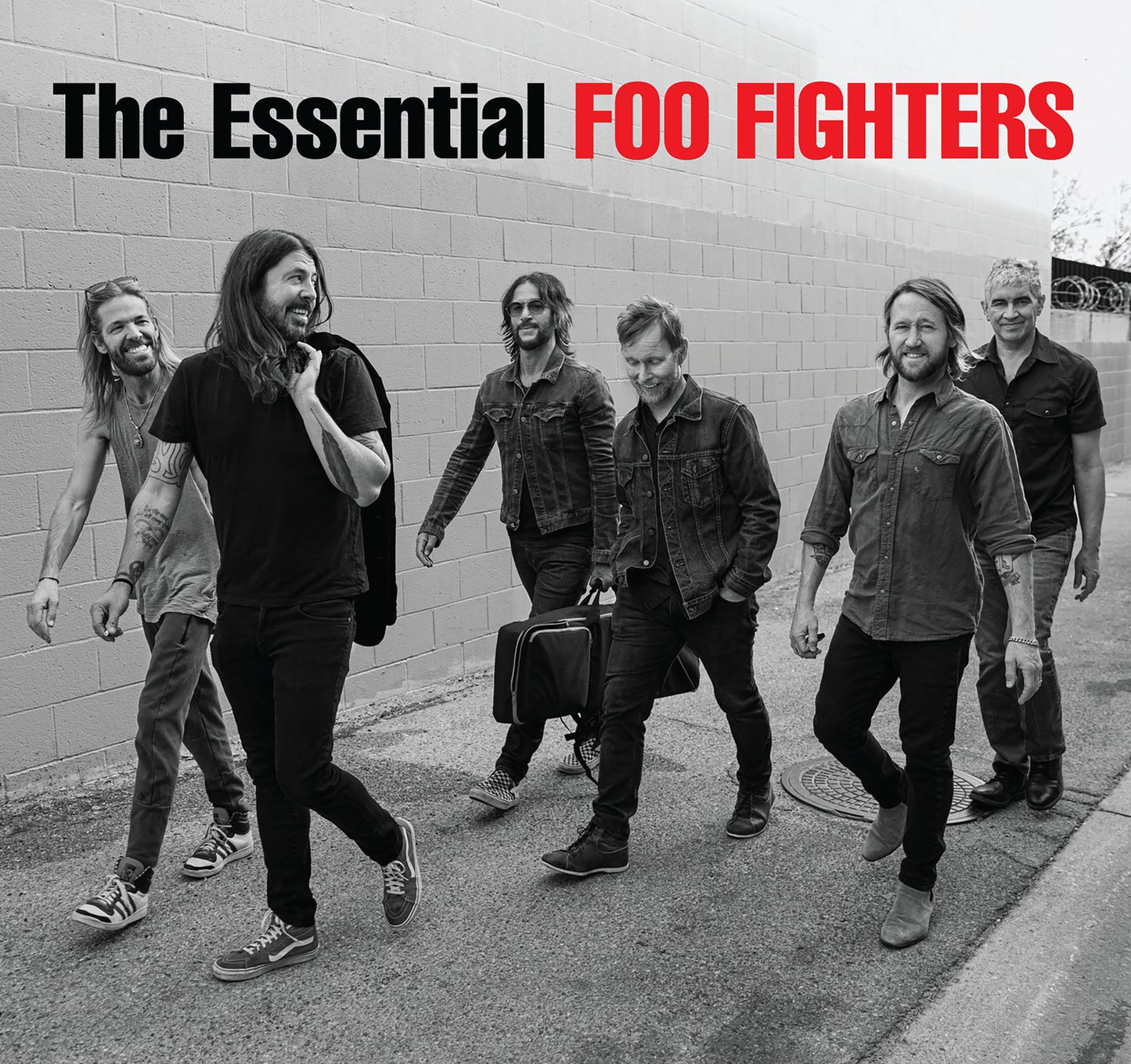 Foo Fighters The Essential Foo Fighters [Vinyl]
