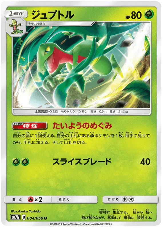 Grovyle (004/050) [Fairy Rise] Reverse Holofoil