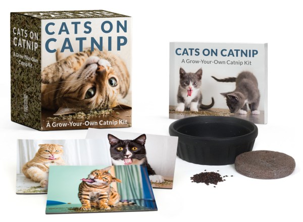 RP Minis: Cats on Catnip - A Grow-Your-Own Catnip Kit - Golden Apple Comics