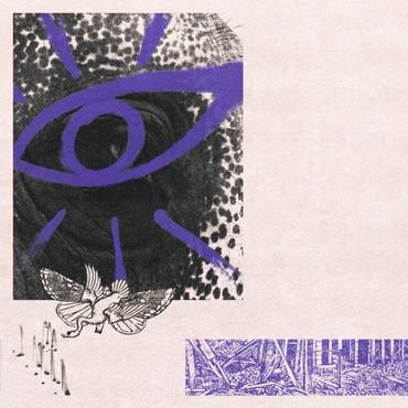 Hippo Campus LP3 [Vinyl]