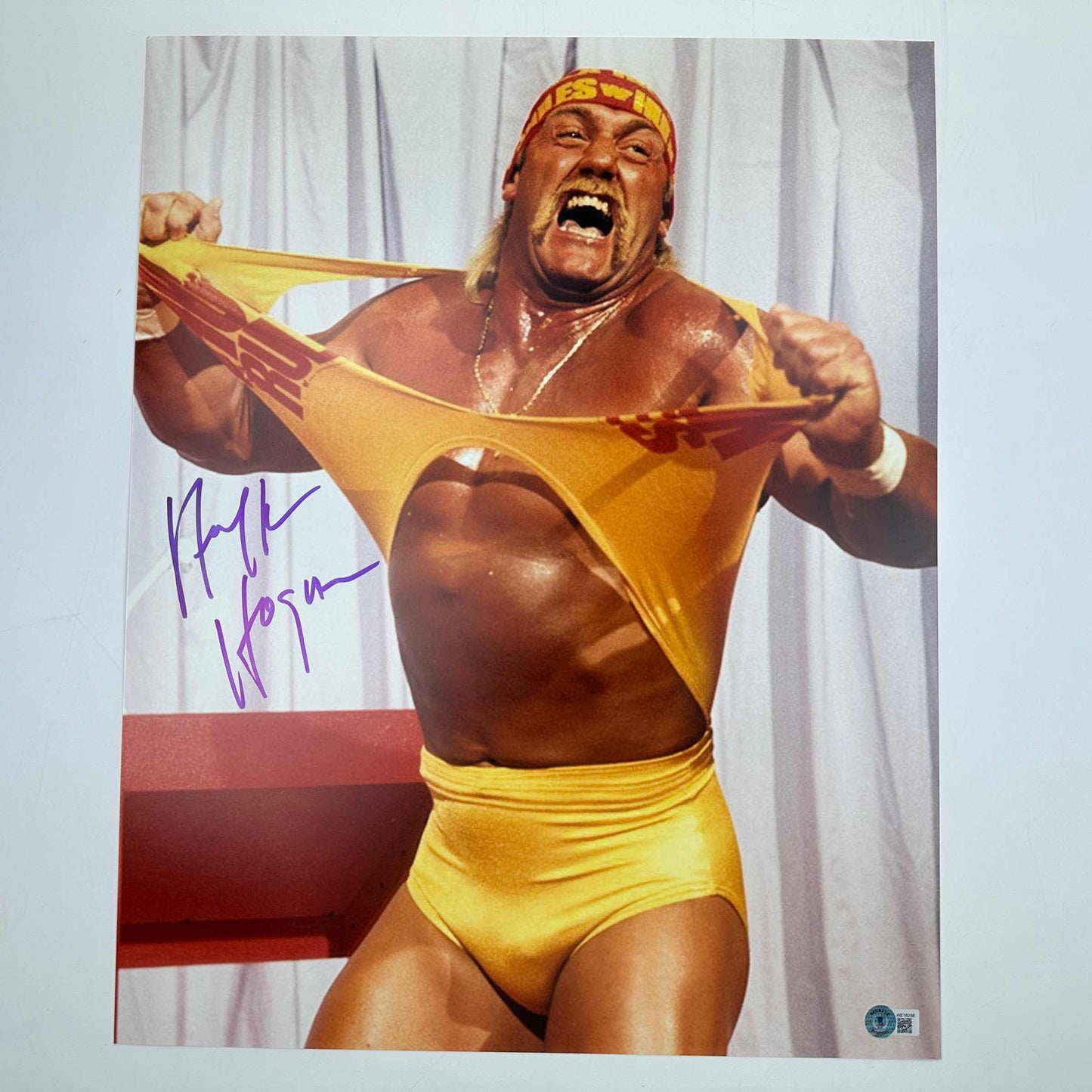 Autographed/Signed Hulk Hogan 16x20 WWE WWF Hulkamania Wrestling Photo Beckett BAS COA #4