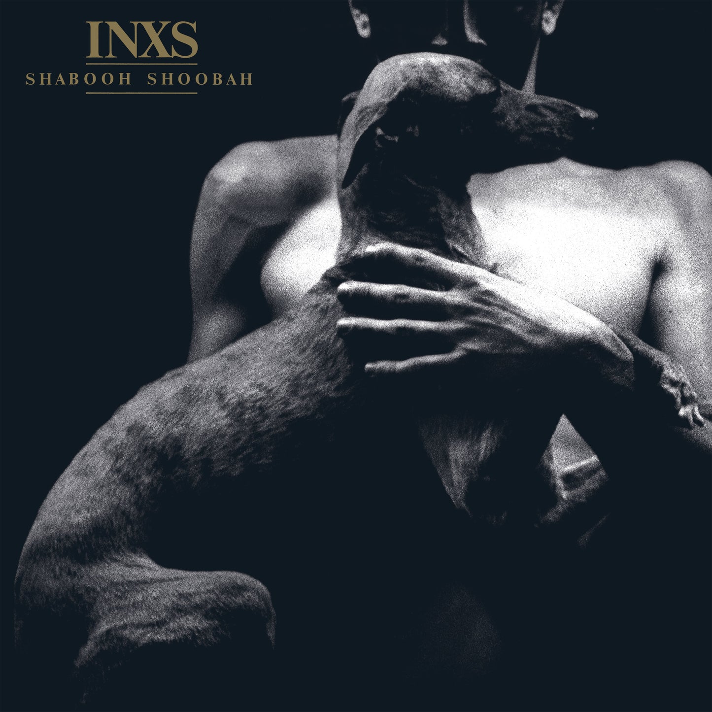 INXS Shabooh Shoobah (Ultra Clear Vinyl) (Rocktober Exclusive) [Vinyl] - Golden Apple Comics