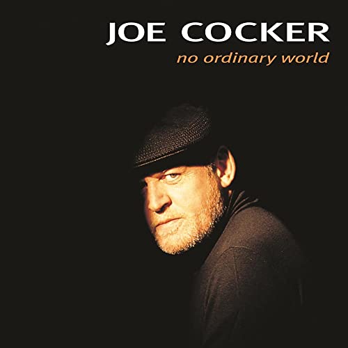 No Ordinary World [2 LP] (Vinyl)