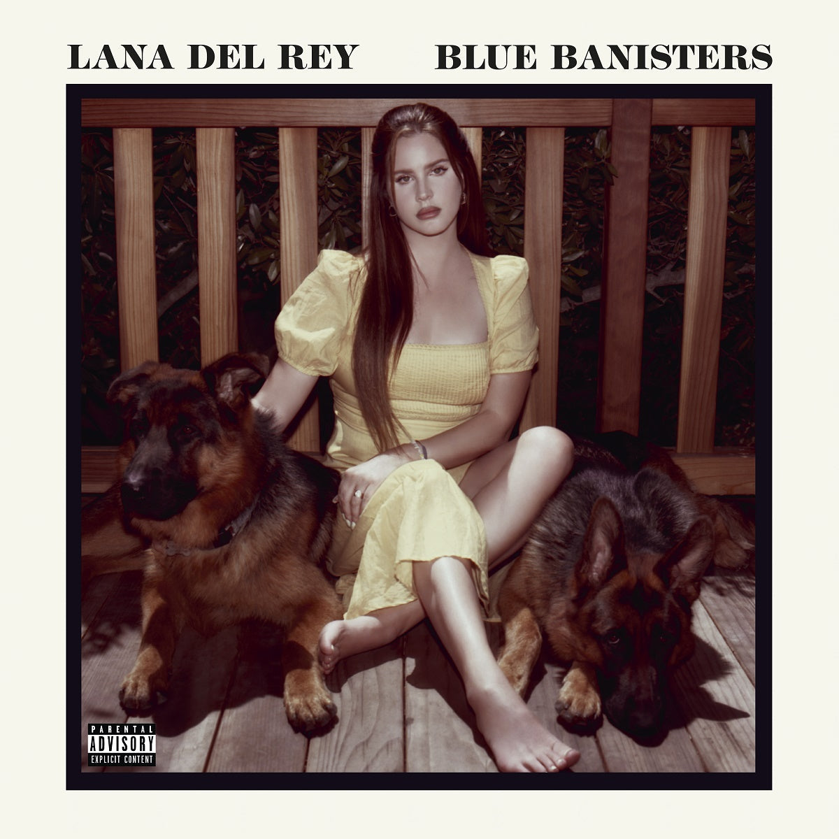 Blue Banisters [2 LP] [Vinyl]