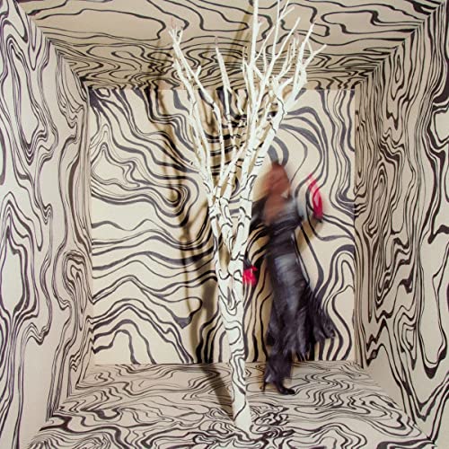 Revealer [LP] (Vinyl)