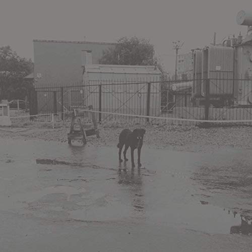 After its own death / Walking in a spiral towards the house (Vinyl)