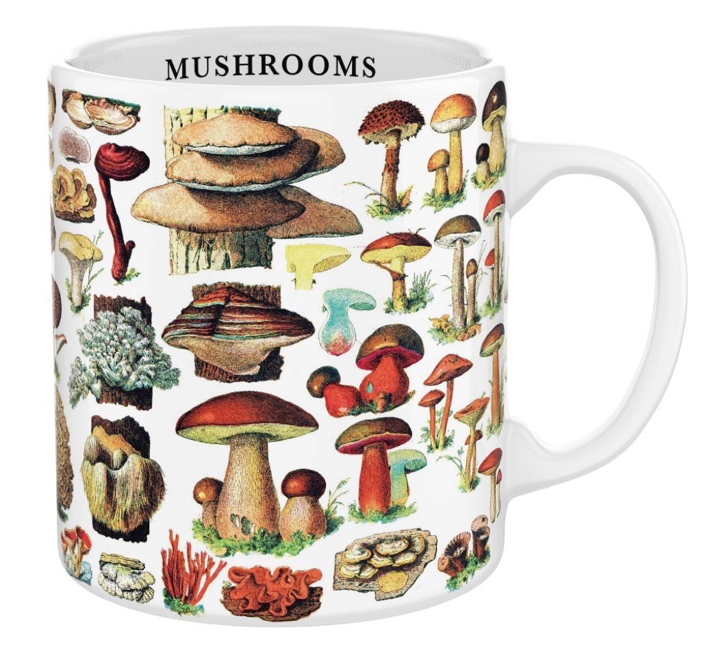 Mushrooms Mug