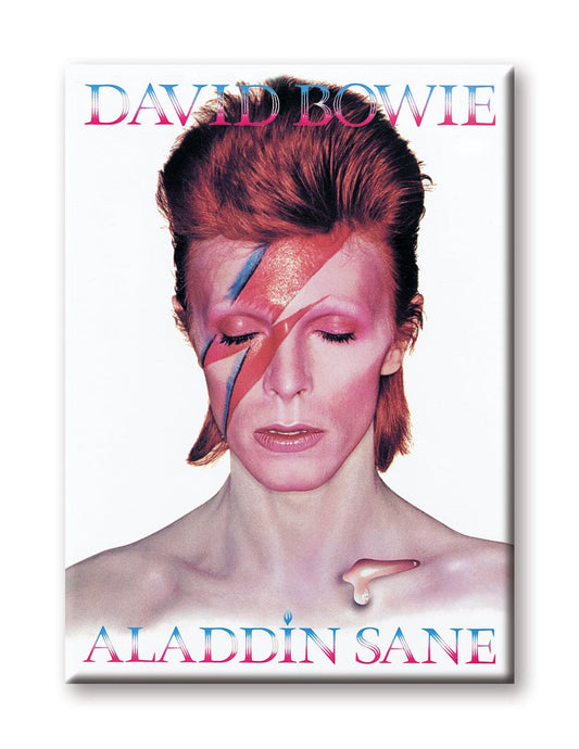 Aquarius Magnets: Flat Magnet - David Bowie - Aladdin Sane - Golden Apple Comics