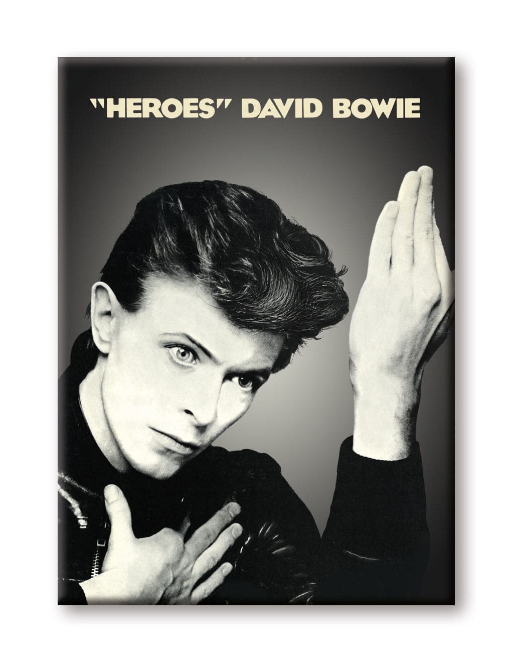 Aquarius Magnets: Flat Magnet - David Bowie - Heroes - Golden Apple Comics