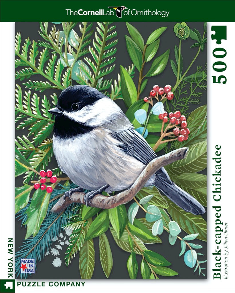 Black-capped Chickadee