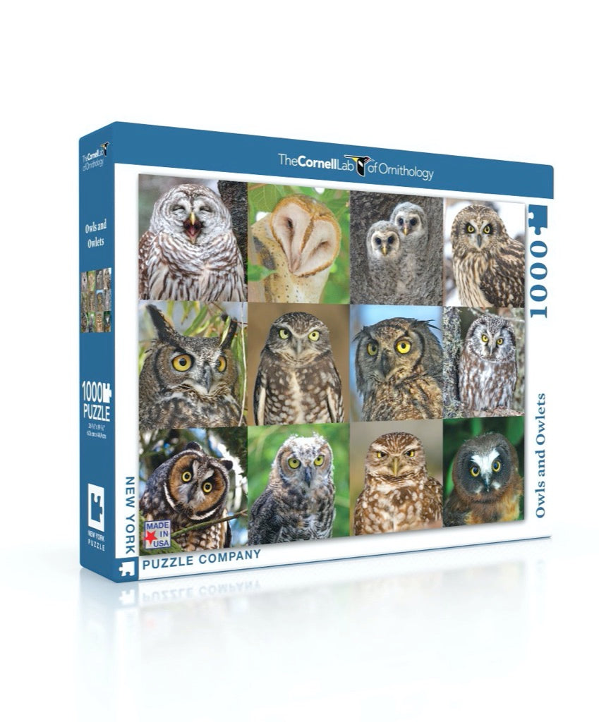 Owls and Owlets