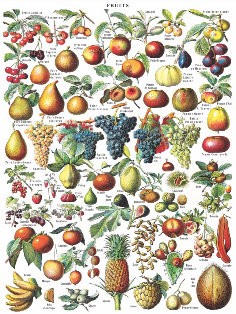 Fruits