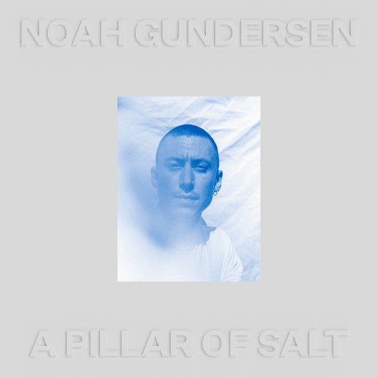 Noah Gundersen - A Pillar of Salt [Vinyl]