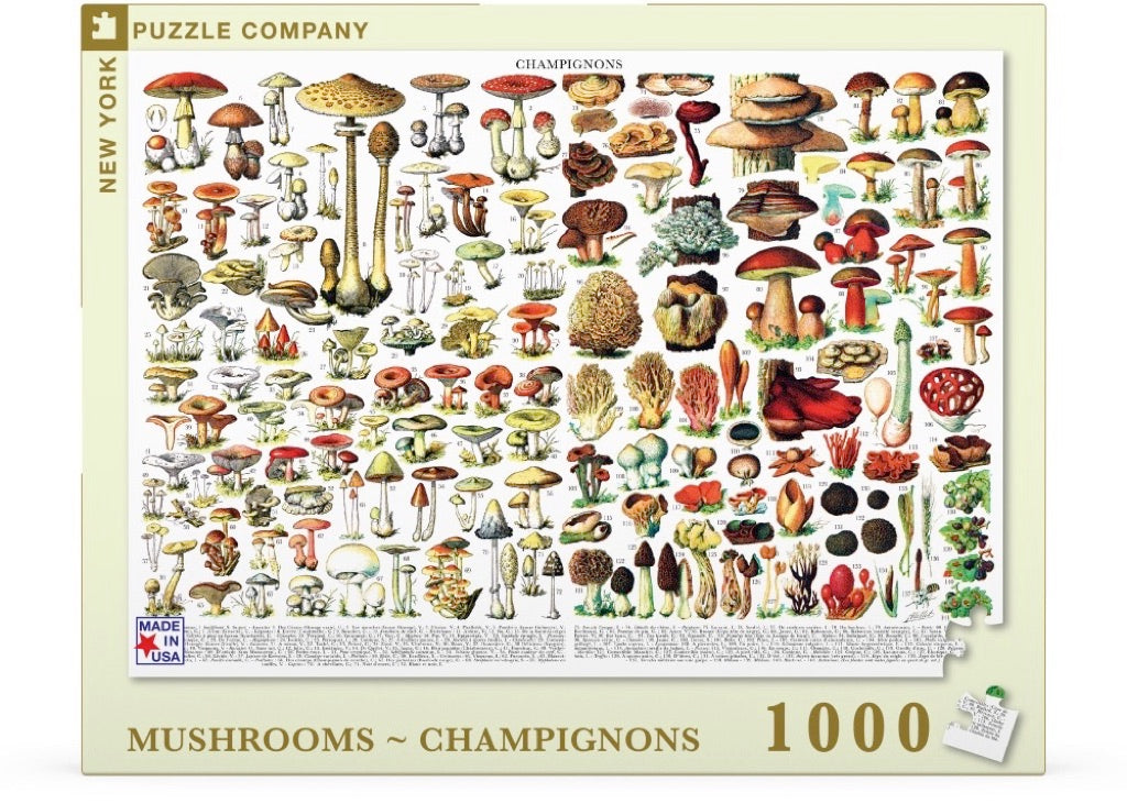 Mushrooms ~ Champignons