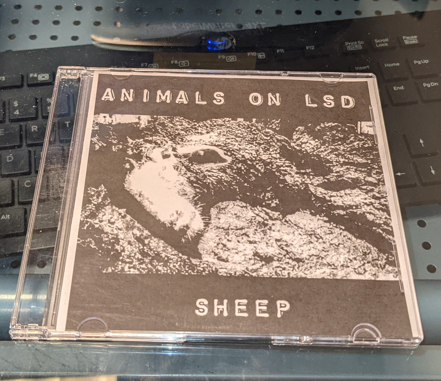 Animals On LSD - Sheep CD