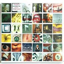 Pearl Jam No Code (1LP/150G) [Vinyl]