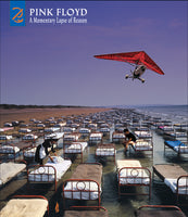 Pink Floyd A MOMENTARY LAPSE OF REASON (REMIXED & UPDATED 2019) (LP) [Vinyl]