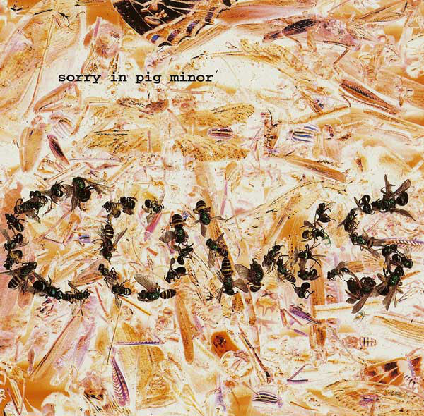 Cows - Sorry In Pig Minor CD