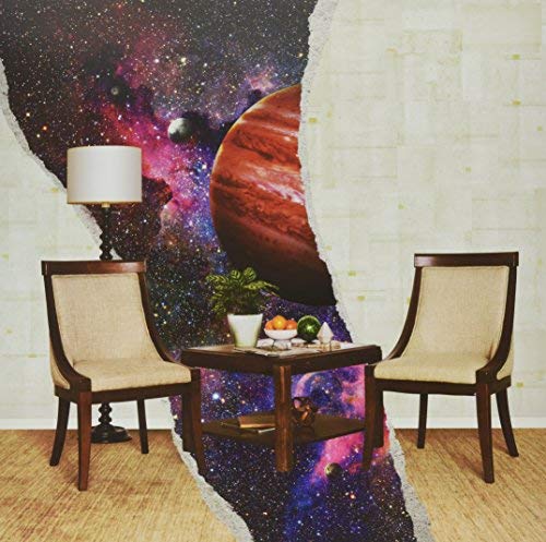 Rainbow Kitten Surprise How To: Friend Love Freefall [Vinyl]