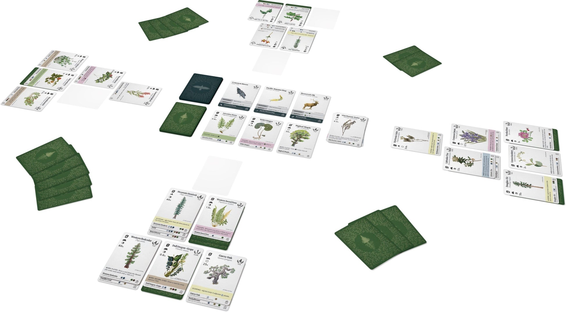 Reforest: Plants of the Pacific Northwest Coast - Golden Apple Comics
