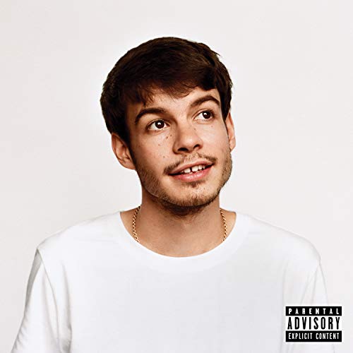 Rex Orange County Pony [Vinyl]