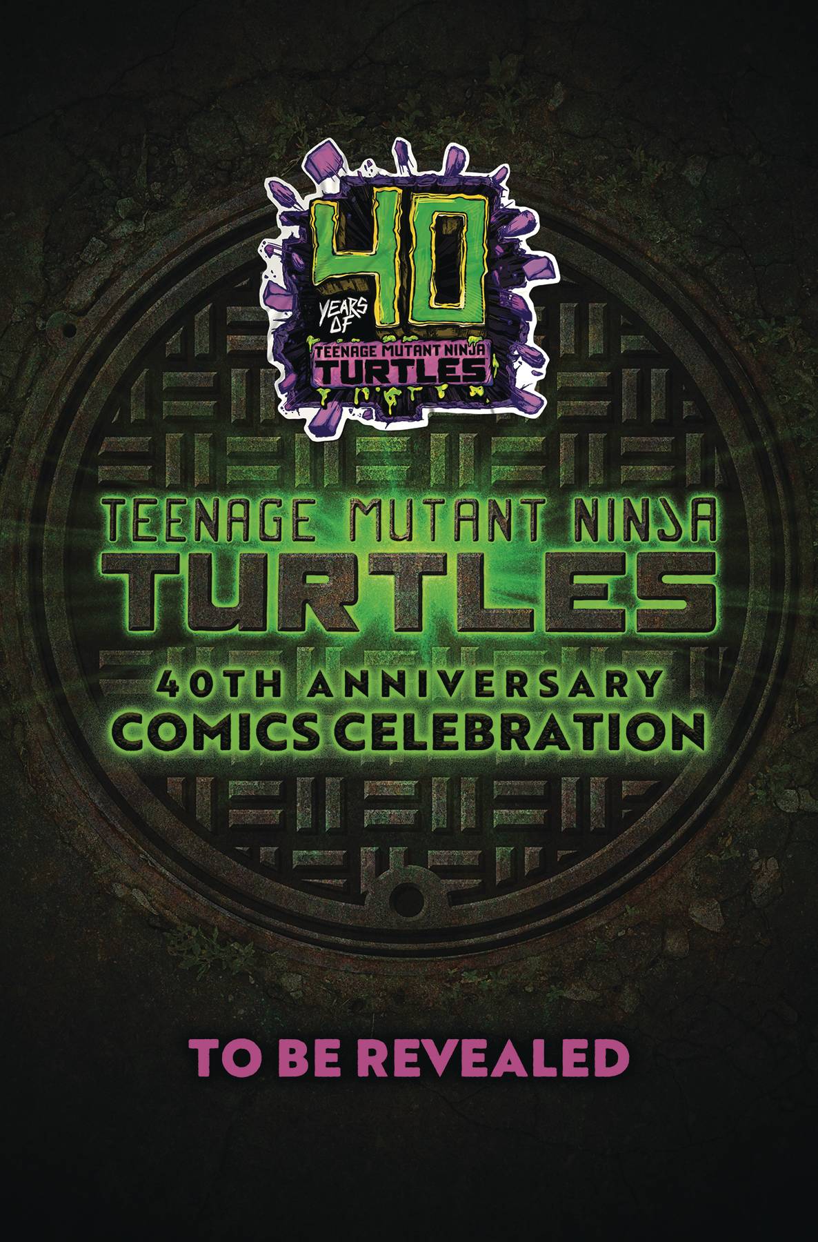Teenage Mutant Ninja Turtles 2024 #1 Cover Set Of 13 (07/24/2024) Idw