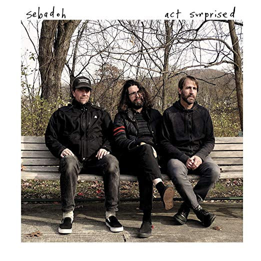 Act Surprised [Vinyl]