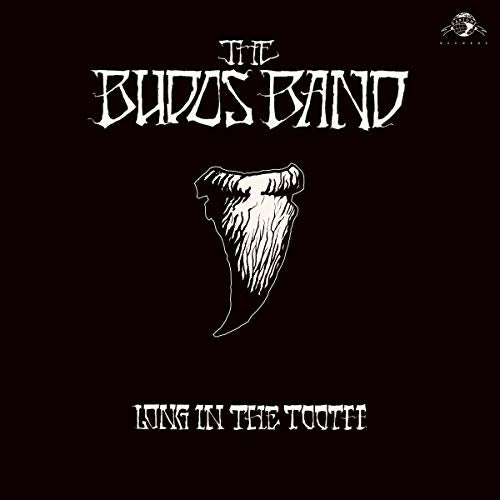 Long In The Tooth (Digital Download Card) (Vinyl)